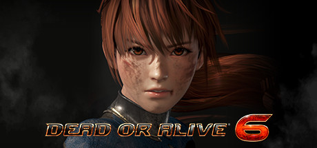 Cover image of  DEAD OR ALIVE 6