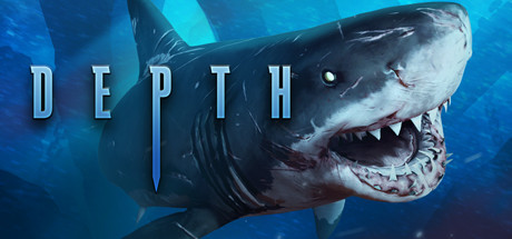 Cover image of  Depth