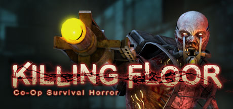 Cover image of  Killing Floor