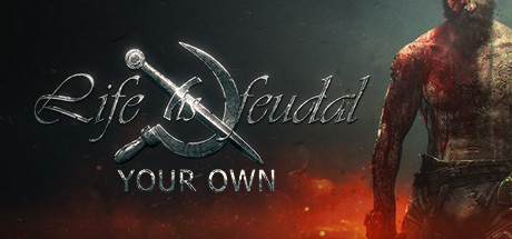 Cover image of  Life is Feudal: Your Own