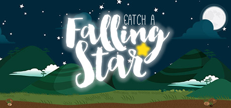 Cover image of  Catch a Falling Star