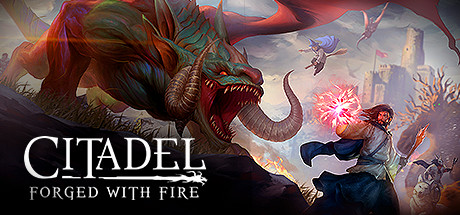 Cover image of  Citadel: Forged with Fire