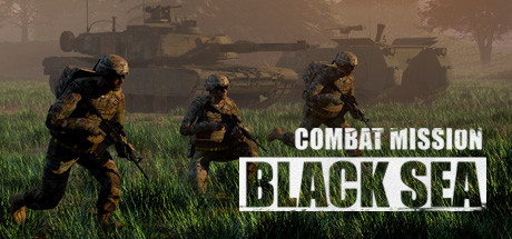 Cover image of  Combat Mission Black Sea