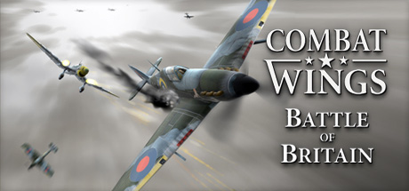 Cover image of  Combat Wings: Battle of Britain