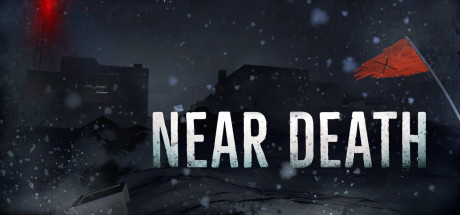 Cover image of  Near Death