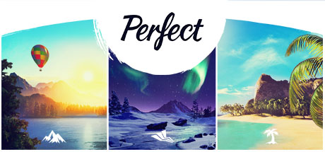 Cover image of  Perfect