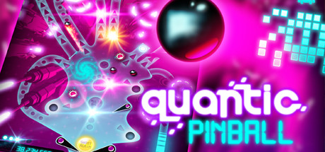 Cover image of  Quantic Pinball