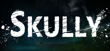 Cover image of  Skully