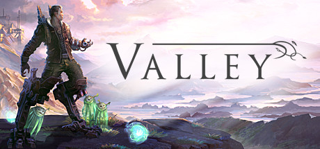 Cover image of  Valley