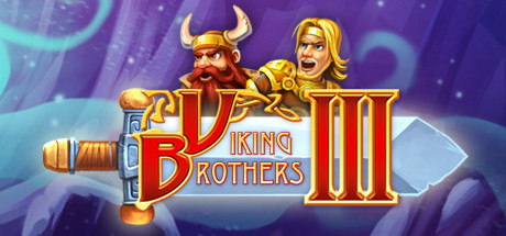 Cover image of  Viking Brothers 3