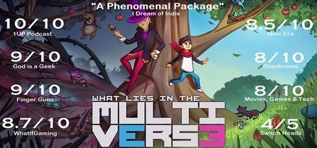 Cover image of  What Lies in the Multiverse